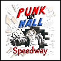 PUNK THE WALL